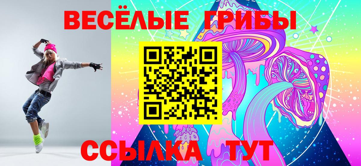 Псилоцибиновые грибы GOLDEN TEACHER  Вход с VPN  Тимашёвск 
