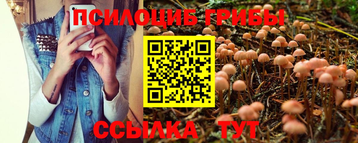 Псилоцибиновые грибы мухоморы Тимашёвск